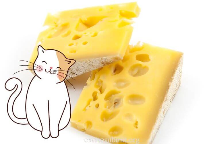 Can Cats Eat Mozzarella Cheese?