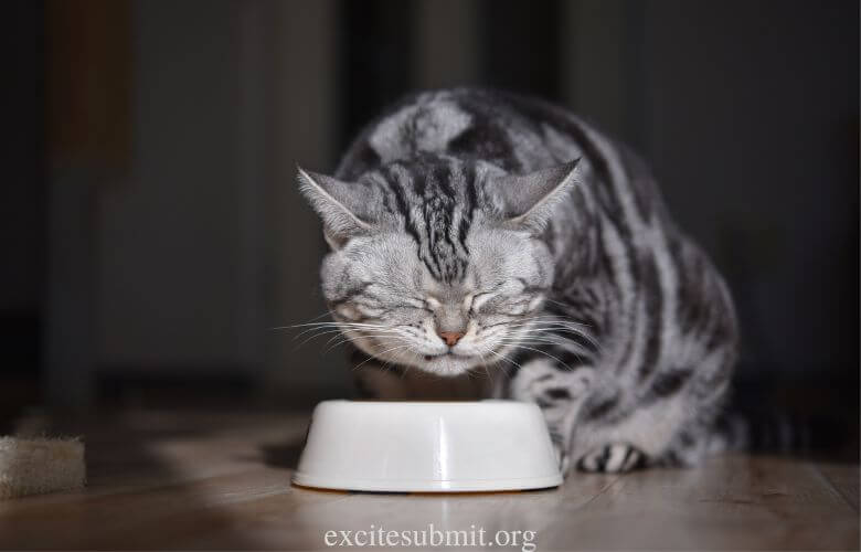 Can Cats Eat Strawberry Yogurt? (Read This First!)