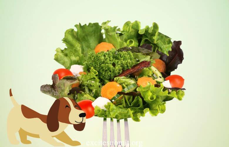 Can Dogs Eat Spring Mix?