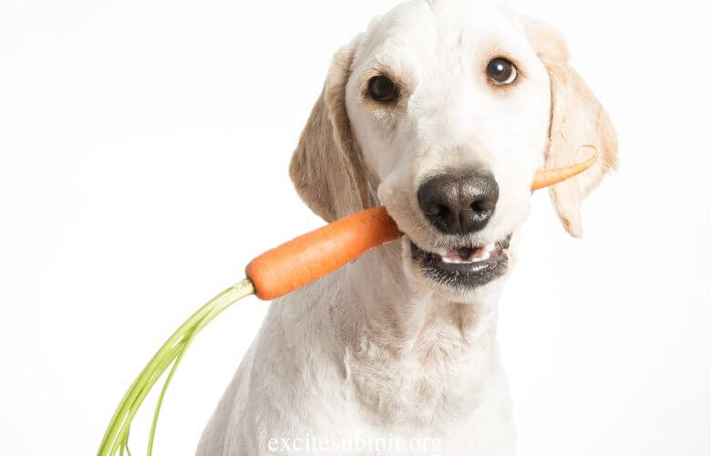 Puppies And Carrots Can Puppies Eat Carrots