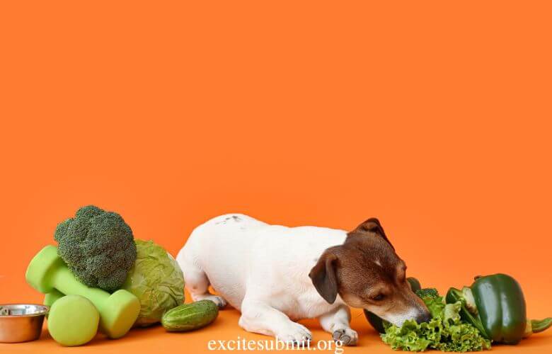 Puppies Eating Broccoli: Can Puppies Eat Broccoli?