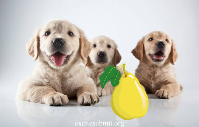 Puppies and Pears: Can Puppies Eat Pears?