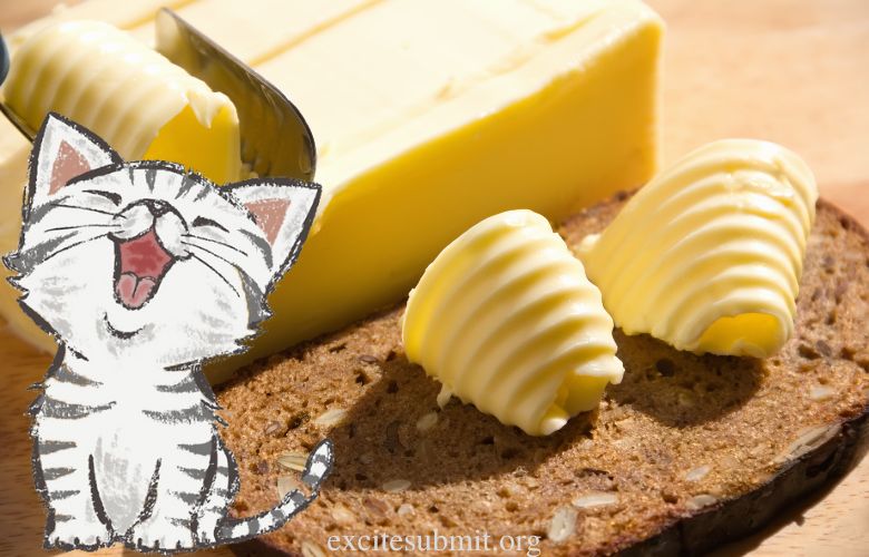Can Cats Eat Almond Butter?