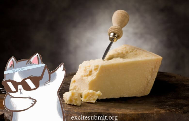 Can Cats Eat Parmesan Cheese?